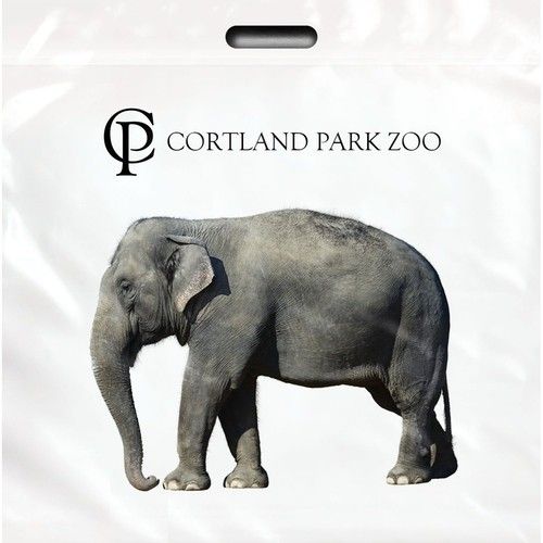 Full Color Take Home Custom Plastic Bag - 20"w x 20"h
