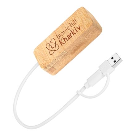 Custom Dual Input Bamboo USB Hub