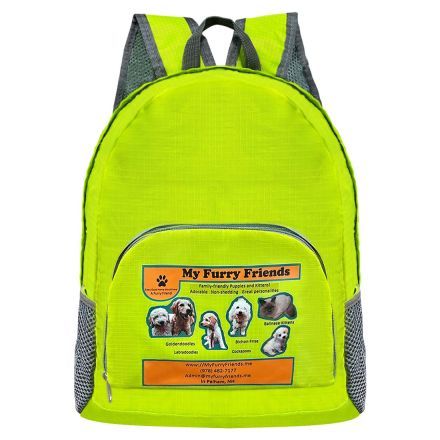 Custom Lightweight Travel Camping Foldable Backpack