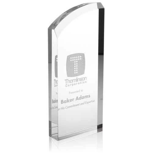 Enterprise Curve Acrylic Custom Award