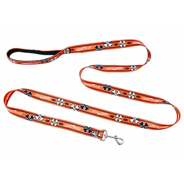 Full Color Custom Pet Leashes