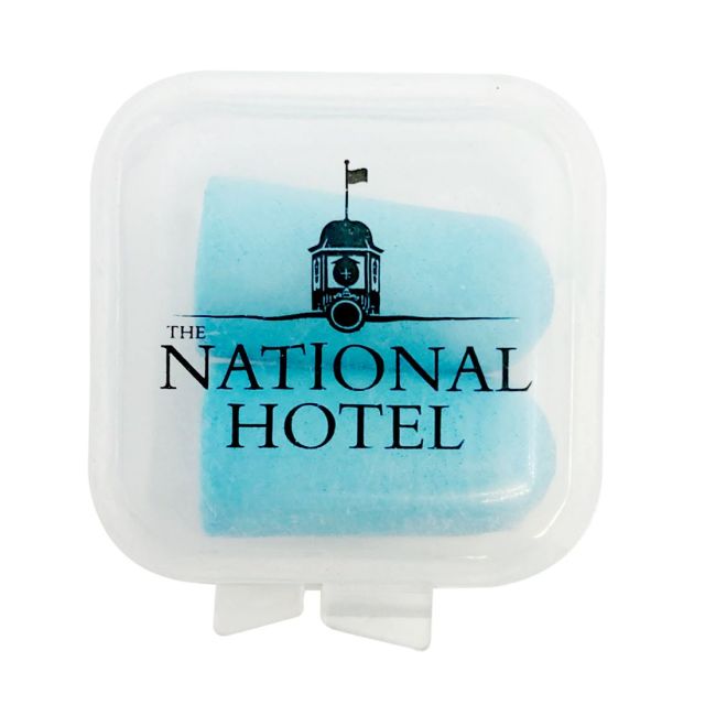 Custom Ear Plugs in Case