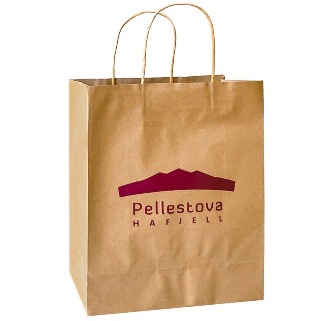 Custom Debbie Kraft Paper Bag - 10"w x 13"h x 5"d