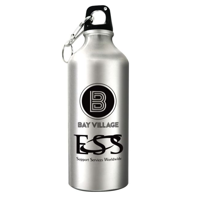 Aluminum Custom Water Bottle w/ Carabiner - 20 oz.