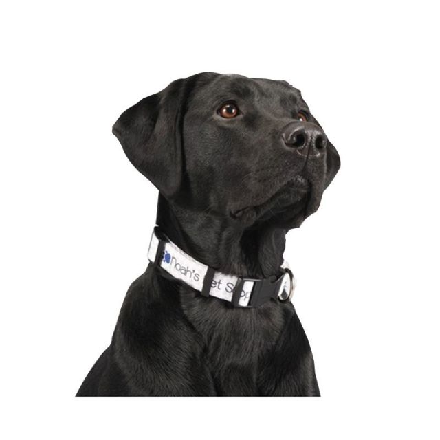 Full Color Heavy Duty Promotional Dog Collar - 1"w x 20"l