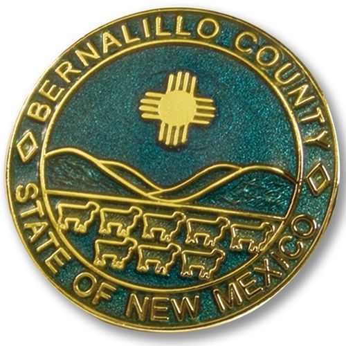 Cloisonne Custom Lapel Pin - 0.75"