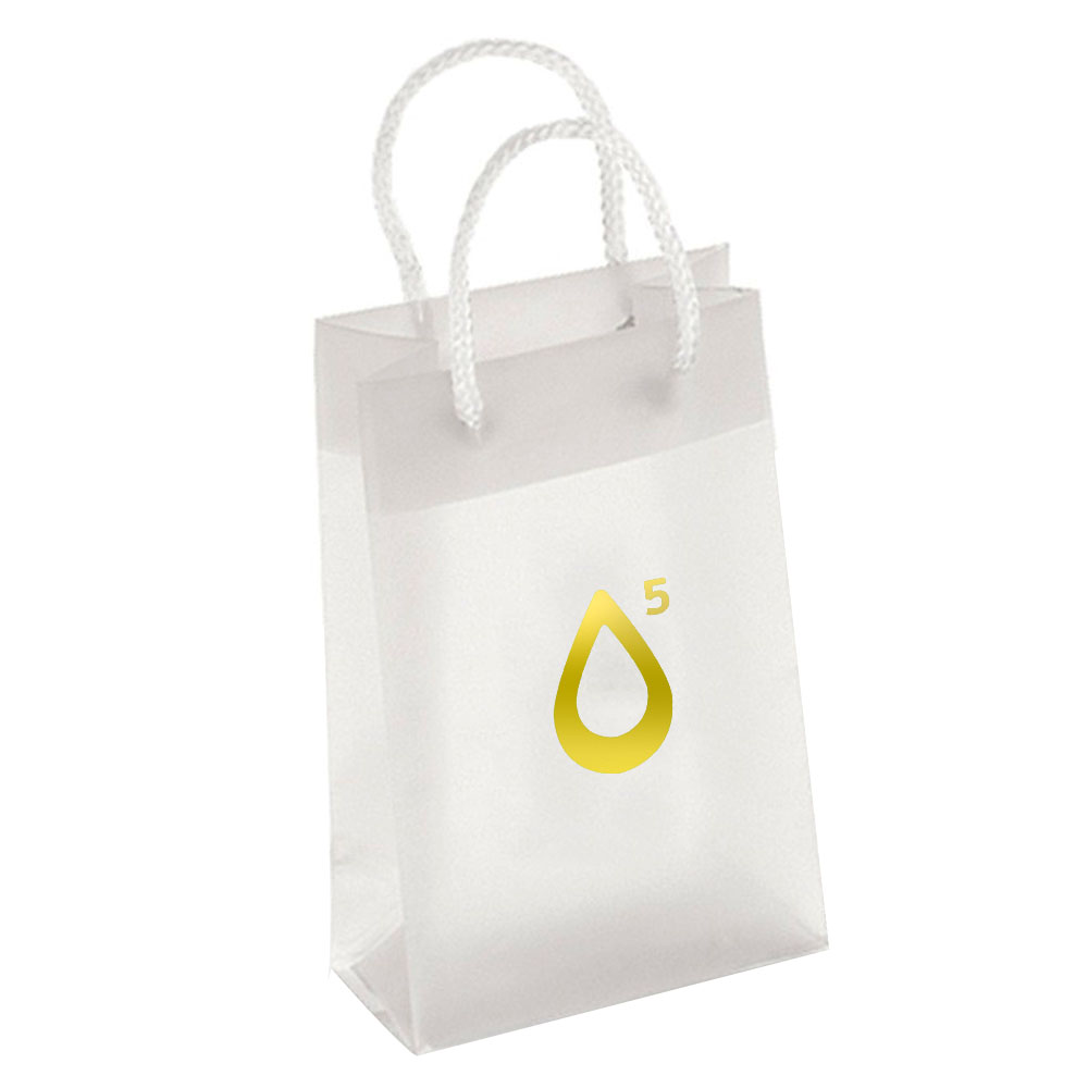Custom Foil Stamp Plastic Shopping Bag - 5"W x 8"H x 3"D