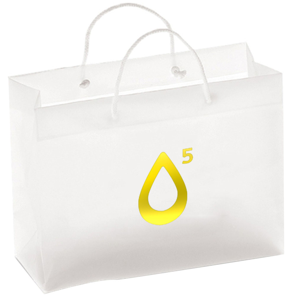 Custom Foil Stamp Printed Frosted Eurotote Plastic Shopping Bags - 12"W x 10"H x 5.5"D