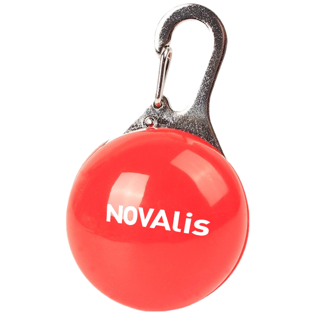 Custom LED Clip-on Pet Safety Light