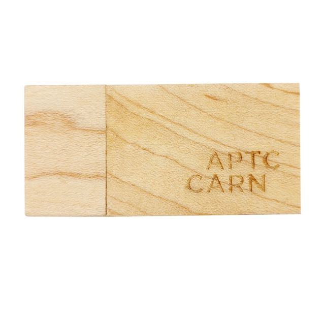 Custom Wood Block USB Flash Drive