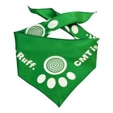 Custom Triangle Pet Bandana
