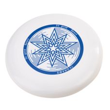 Custom Plastic Promotional Flyer - 9"