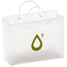 Custom Promotional Plastic Shopping Bags - 12"W x 10"H x 5.5"D