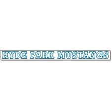 Removable Promotional Bumper Stickers - 18" w x 1.5" h
