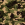 Camouflage